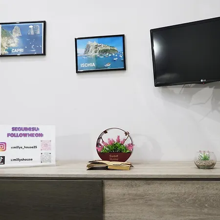 公寓 Milly's House